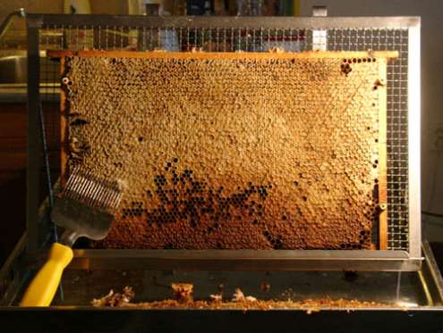 A tohle je již lepší. Včeličky se hodně snažily...v tomhle rámku bude i 2kg medu...